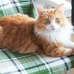 Meet your Posher, Malika